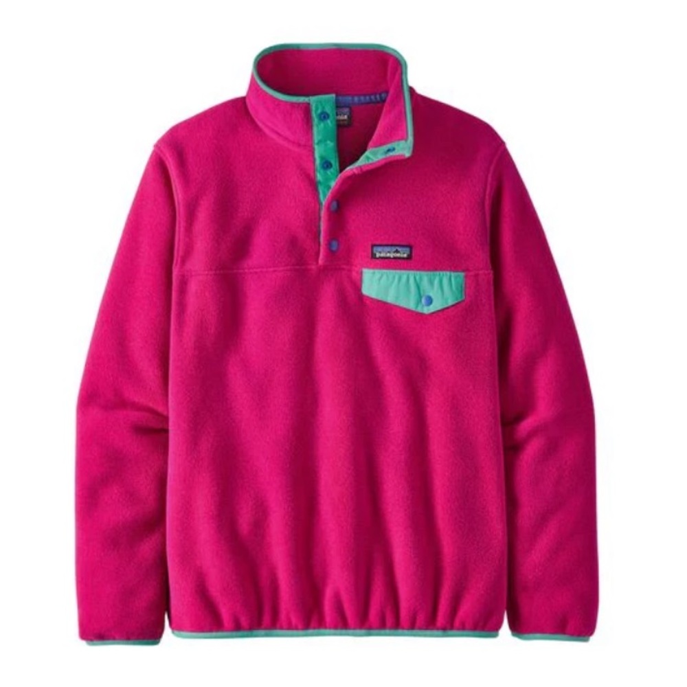 Patagonia Synchilla Pullover